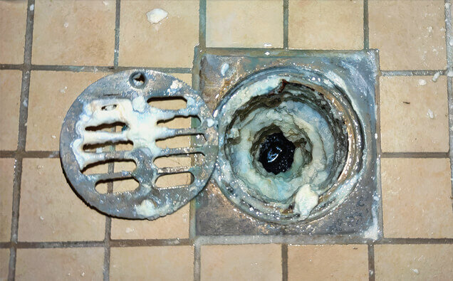 https://blockeddrainsmounthawthorn.com.au/uploads/2025/07/blocked-shower-drains-33151.jpg