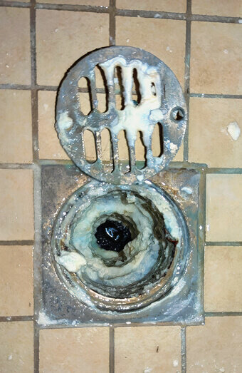 https://blockeddrainsmounthawthorn.com.au/uploads/2025/07/blocked-shower-drains-86331.jpg