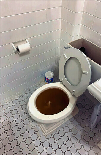 https://blockeddrainsmounthawthorn.com.au/uploads/2025/07/blocked-toilet-42230.jpg